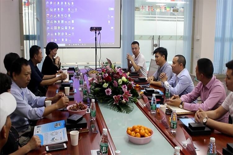 91香蕉视频在线下载香蕉视频下载网站化客戶接待處